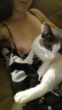 Kitty on my titties (f)