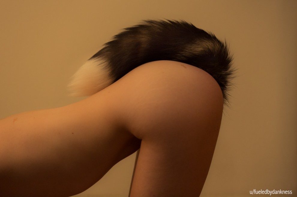 checking in [f]rom the shoot 2 - foxtail