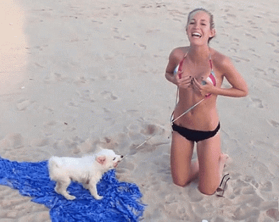 Good puppy dog [gif]