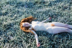 In the frost...