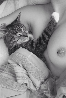 Purr....