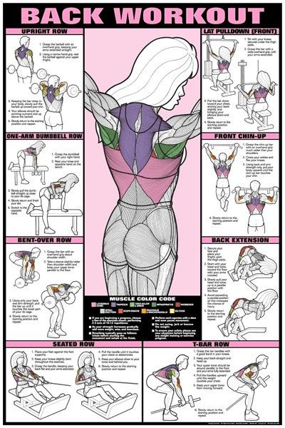 Sexy Back Workout For Women