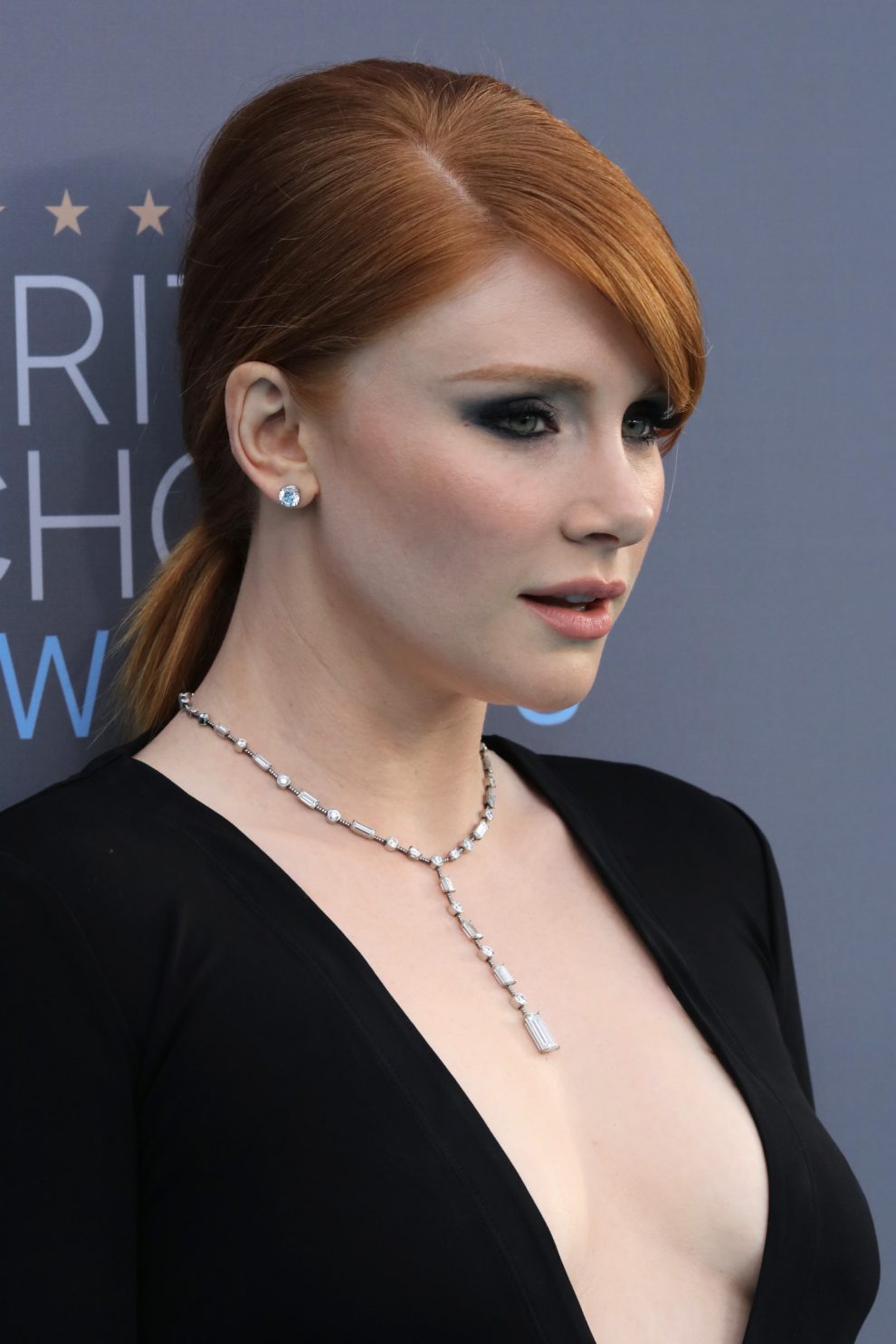 Bryce Dallas Howard Porn - Bryce Dallas Howard | Sniz Porn