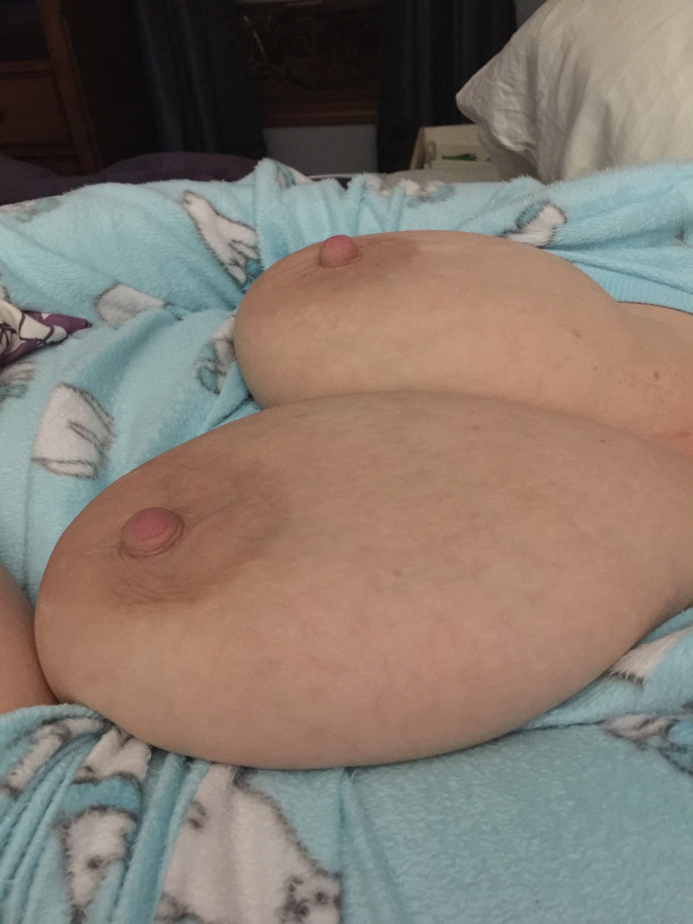 large tits after feeding position""