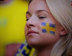 Swedish supporter