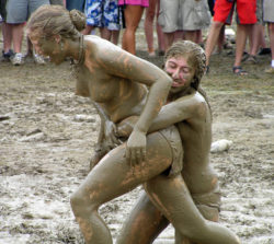 What do you do with a mud puddle at a music festival?