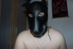 Woof Woof! XD