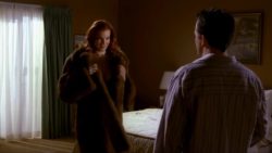 Marcia Cross - Desperate Housewives Lingerie Plot