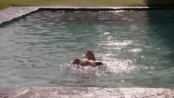 Camilla Luddington walks out of a pool. [Californication S05E0]