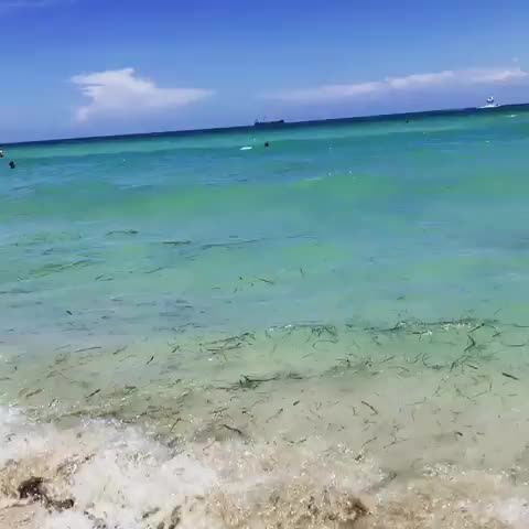 All about the motion in the ocean