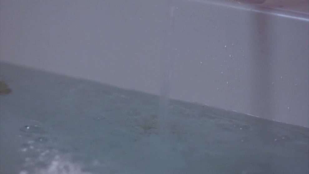 Jaime Pressly takes a bath in Poison Ivy: The New Seduction (1997)