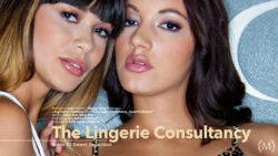 The Underware Consultancy Scene two Pleasant Seduction Felicia Smooch Mona Kim
