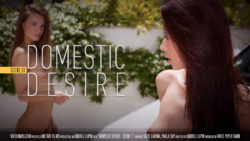 Domestic Fantasy Episode 1 Paula Timid Suzie Carina